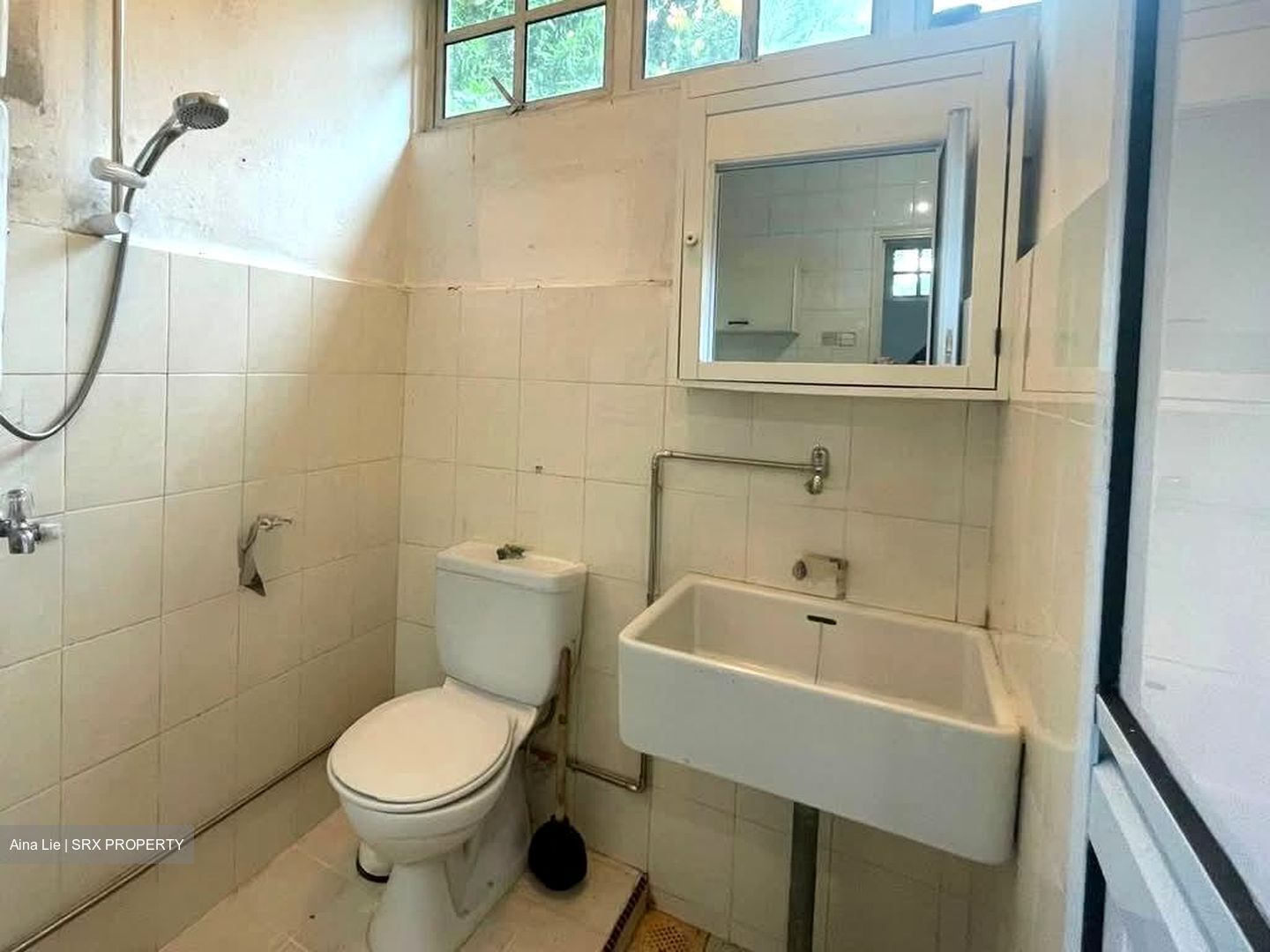 Commonwealth Avenue West (D5), Detached #543063051